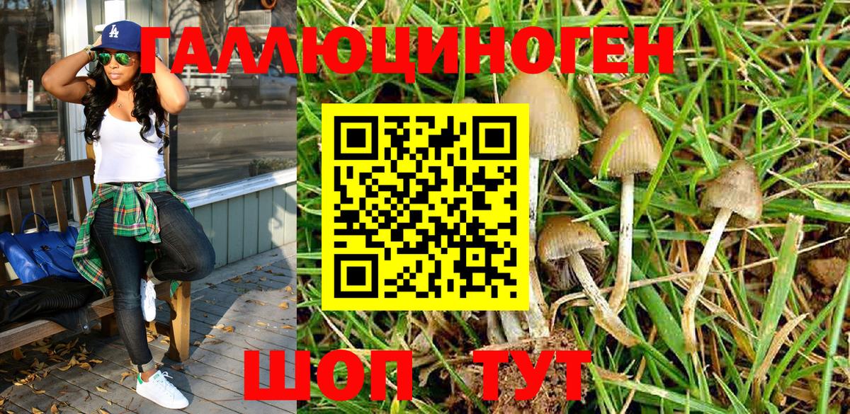 Южно-Сахалинск  Галлюциногенные грибы Psilocybe  Вход с VPN 
